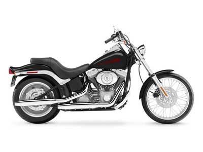 2006 Harley-Davidson Softail® Standard in Houma, Louisiana - Photo 22