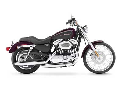 2006 Harley-Davidson Sportster® 1200 Custom in Knoxville, Tennessee - Photo 6