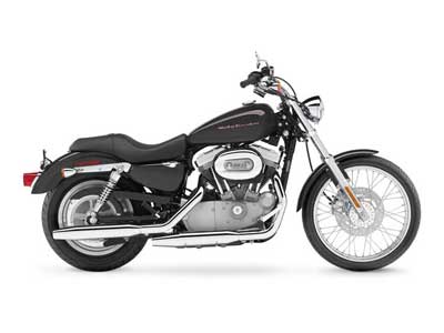 2006 Harley-Davidson Sportster® 883 Custom in Morgantown, West Virginia - Photo 1