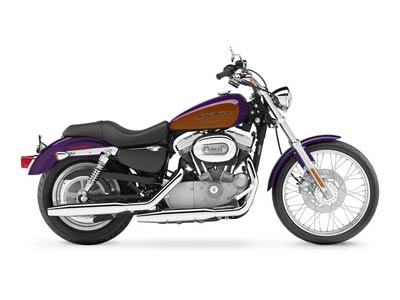 2006 Harley-Davidson Sportster® 883 Custom in Louisville, Tennessee - Photo 9