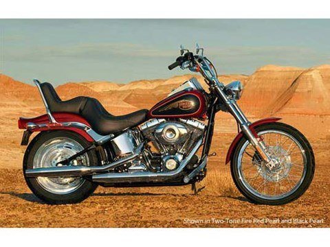 2007 Harley-Davidson Softail Custom in Marion, Illinois - Photo 8