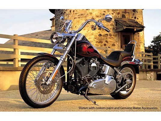 2007 Harley-Davidson Softail Custom in Marion, Illinois - Photo 9