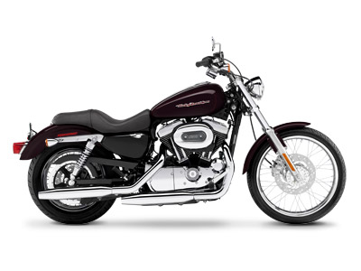 2007 Harley-Davidson Sportster® 1200 Custom in Chicora, Pennsylvania - Photo 11
