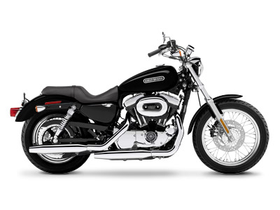 2007 Harley-Davidson Sportster® 1200 Low in New York Mills, New York - Photo 1
