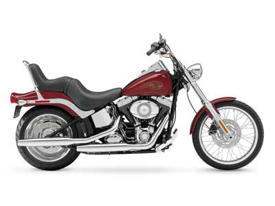 2008 Harley-Davidson Softail® Custom in The Woodlands, Texas