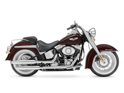 2008 Harley-Davidson Softail® Deluxe in Shorewood, Illinois - Photo 16