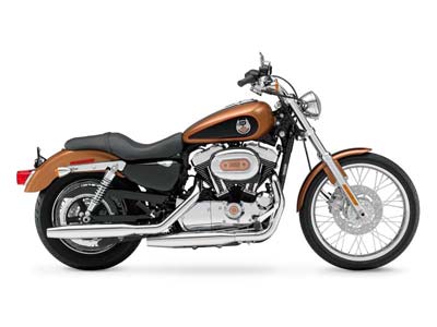2008 Harley-Davidson Sportster® 1200 Custom in Loveland, Colorado