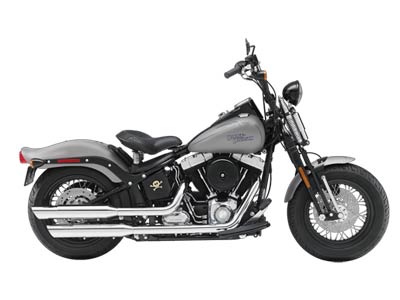 2009 Harley-Davidson Softail® Cross Bones™ in Monroe, Michigan - Photo 3