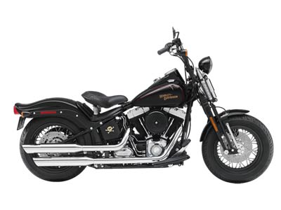 2009 Harley-Davidson Softail® Cross Bones™ in Lynchburg, Virginia