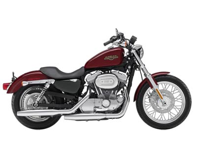 2009 Harley-Davidson Sportster® 883 Low in Mount Sterling, Kentucky