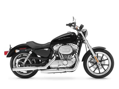 2011 Harley-Davidson Sportster® 883 SuperLow™ in Seneca, Pennsylvania