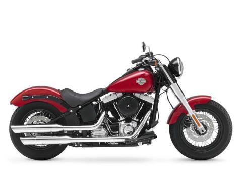 2012 Harley-Davidson Softail® Slim™ in Dansville, New York - Photo 1