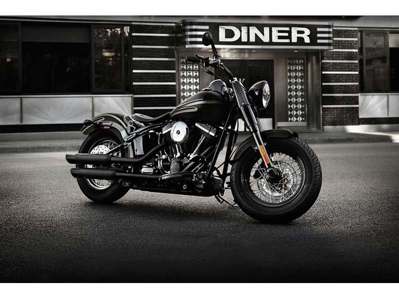 2012 Harley-Davidson Softail® Slim™ in Broadalbin, New York - Photo 8