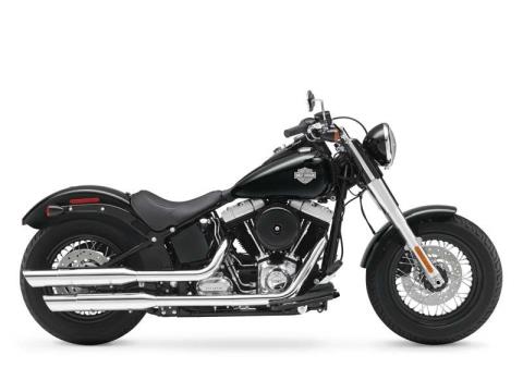 2012 Harley-Davidson Softail® Slim™ in Broadalbin, New York - Photo 1