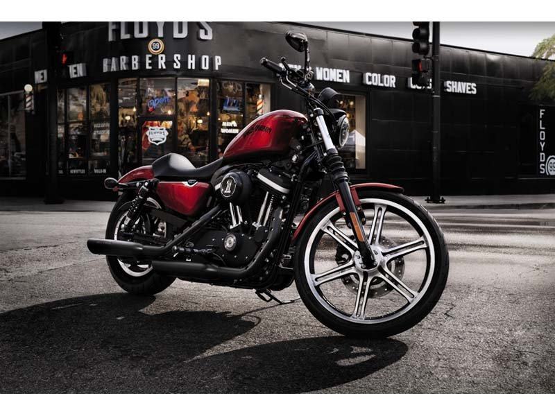 2012 Harley-Davidson Sportster® Iron 883™ in Crystal Lake, Illinois - Photo 18