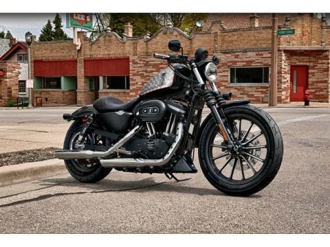 2012 Harley-Davidson Sportster® Iron 883™ in Crystal Lake, Illinois - Photo 14
