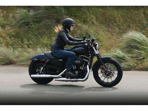2012 Harley-Davidson Sportster® Iron 883™ in Marietta, Ohio - Photo 11