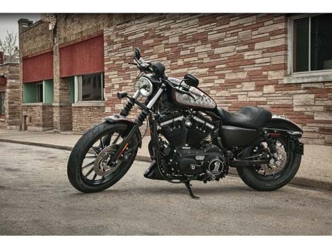 2012 Harley-Davidson Sportster® Iron 883™ in Loveland, Colorado - Photo 3