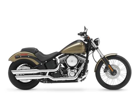 2013 Harley-Davidson Softail® Blackline® in The Woodlands, Texas - Photo 10