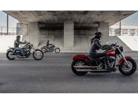 2013 Harley-Davidson Softail Slim® in Monroe, Michigan - Photo 10