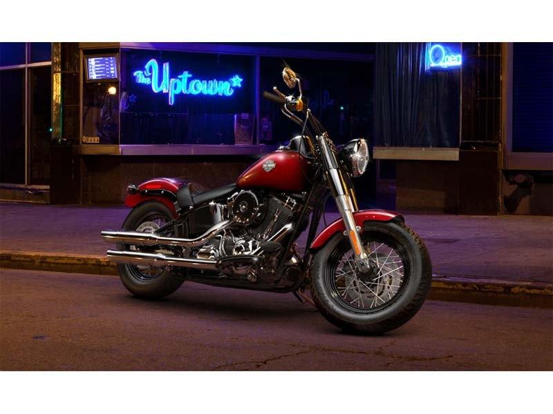2013 Harley-Davidson Softail Slim® in Knoxville, Tennessee - Photo 9