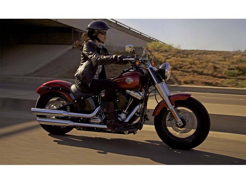 2013 Harley-Davidson Softail Slim® in Knoxville, Tennessee - Photo 12