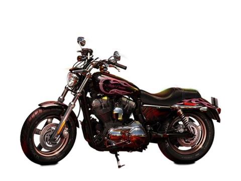 2013 Harley-Davidson Sportster® 1200 Custom in Syracuse, New York - Photo 7