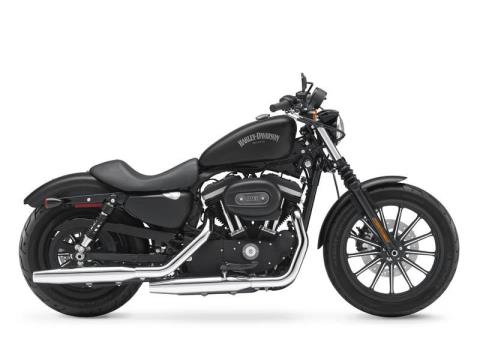 2013 Harley-Davidson Sportster® Iron 883™ in Carrollton, Texas - Photo 4