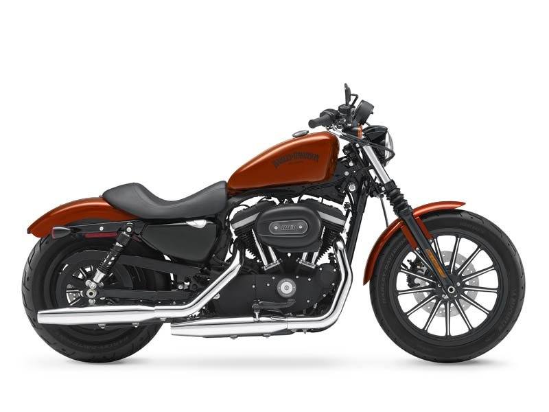 2013 Harley-Davidson Sportster® Iron 883™ in Monroe, Michigan - Photo 2