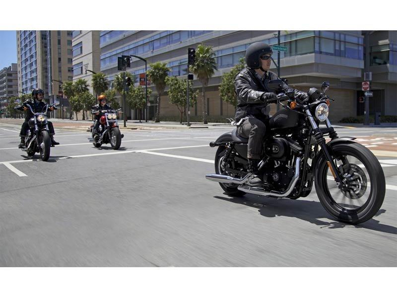2013 Harley-Davidson Sportster® Iron 883™ in Monroe, Michigan - Photo 7