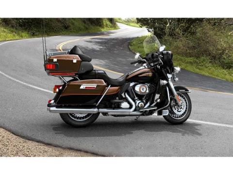 2013 Harley-Davidson Electra Glide® Ultra Limited 110th Anniversary Edition in Lynchburg, Virginia - Photo 2