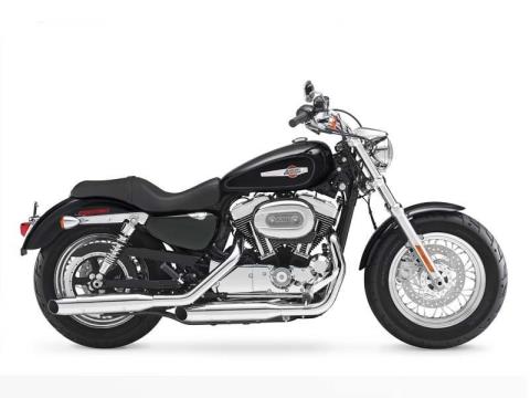 2014 Harley-Davidson 1200 Custom in Monroe, Michigan - Photo 5
