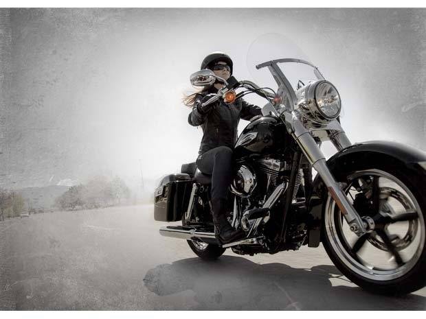 2014 Harley-Davidson Dyna® Switchback™ in San Jose, California - Photo 19