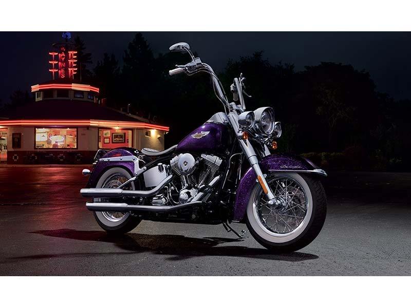 2014 Harley-Davidson Softail® Deluxe in Norman, Oklahoma - Photo 13