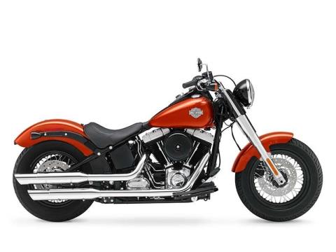 2014 Harley-Davidson Softail Slim® in Carrollton, Texas - Photo 22