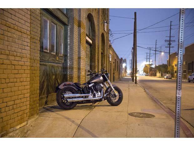 2014 Harley-Davidson Softail Slim® in Dimondale, Michigan - Photo 12