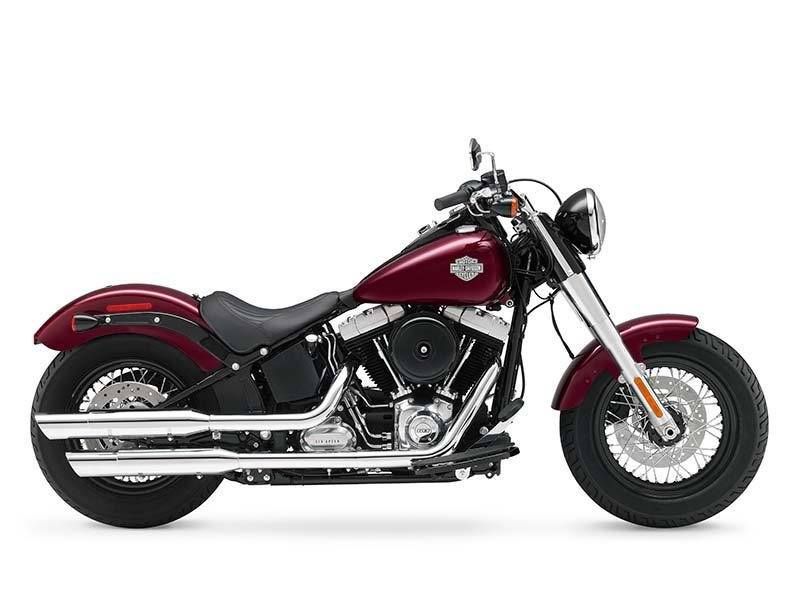 2014 Harley-Davidson Softail Slim® in Dimondale, Michigan - Photo 7