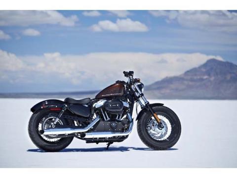 2014 Harley-Davidson Sportster® Forty-Eight® in Ukiah, California - Photo 9