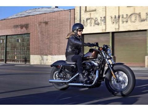 2014 Harley-Davidson Sportster® Forty-Eight® in New York Mills, New York - Photo 9