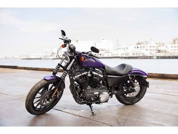 2014 Harley-Davidson Sportster® Iron 883™ in Houston, Texas - Photo 6