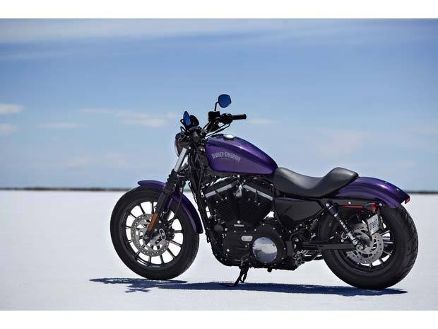 2014 Harley-Davidson Sportster® Iron 883™ in Houston, Texas - Photo 10