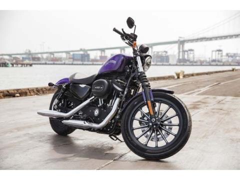 2014 Harley-Davidson Sportster® Iron 883™ in Houston, Texas - Photo 5