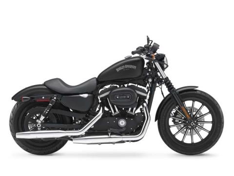 2014 Harley-Davidson Sportster® Iron 883™ in Sanford, Florida - Photo 1