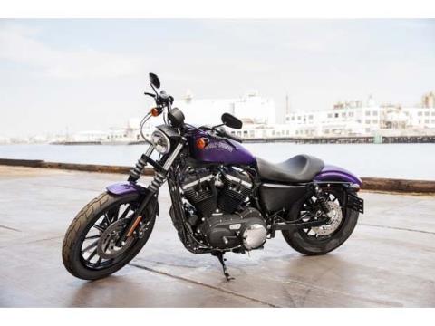 2014 Harley-Davidson Sportster® Iron 883™ in Sanford, Florida - Photo 6