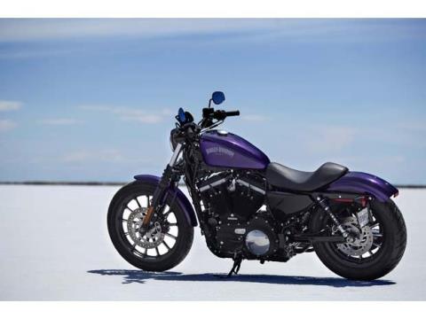 2014 Harley-Davidson Sportster® Iron 883™ in Pasadena, Texas - Photo 10