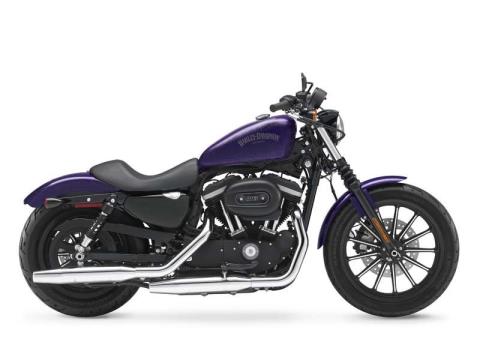 2014 Harley-Davidson Sportster® Iron 883™ in Loveland, Colorado - Photo 1