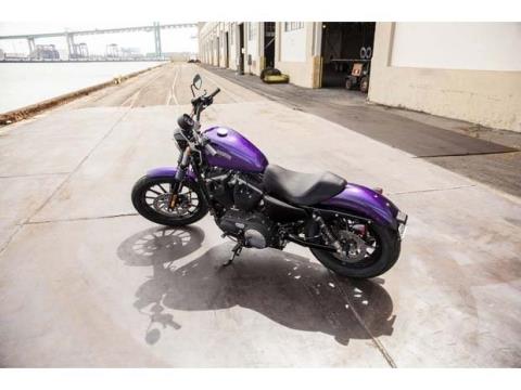 2014 Harley-Davidson Sportster® Iron 883™ in Pasadena, Texas - Photo 7