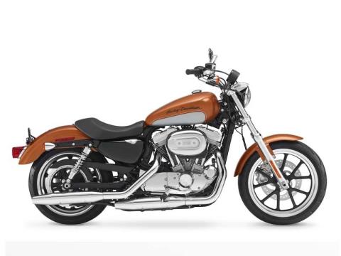 2014 Harley-Davidson Sportster® SuperLow® in Asheville, North Carolina - Photo 6