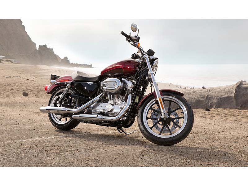 2014 Harley-Davidson Sportster® SuperLow® in Asheville, North Carolina - Photo 7