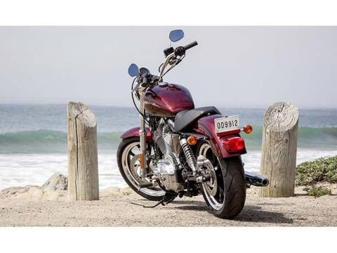 2014 Harley-Davidson Sportster® SuperLow® in Orange, Virginia - Photo 10